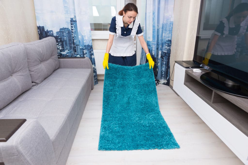 Professional Carpet Cleaner