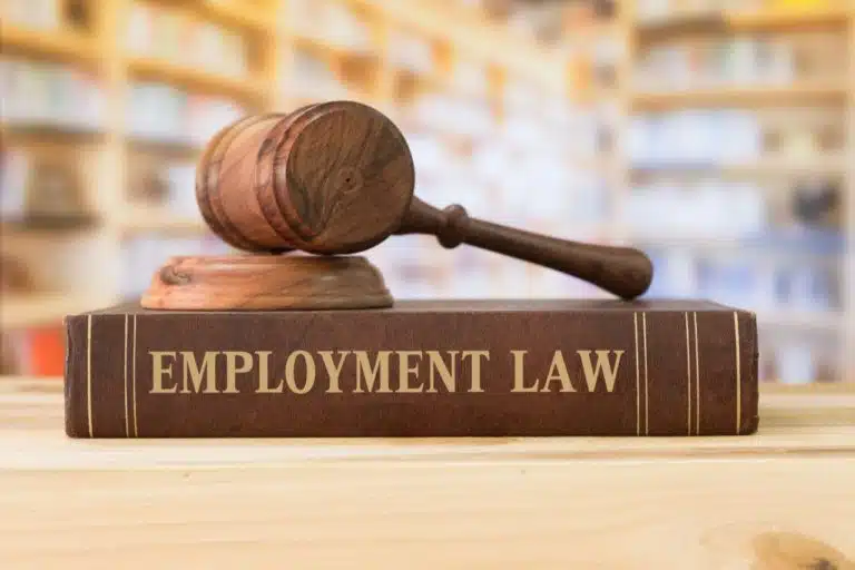 Employment Litigation