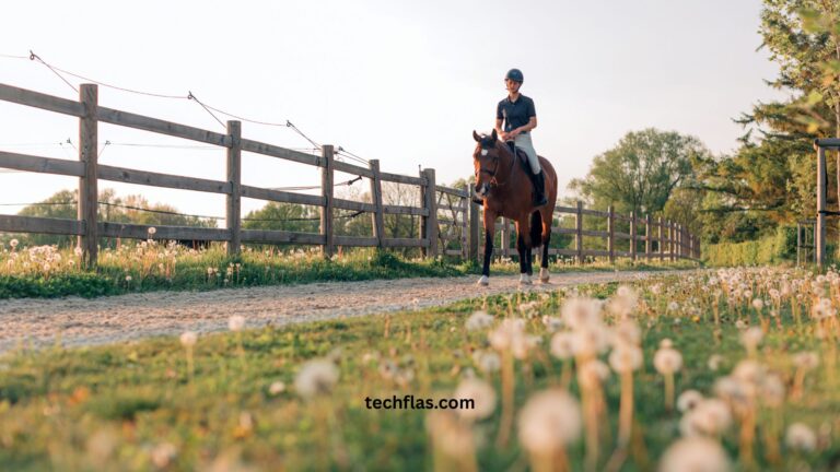 How Equestrian Centers Shape Horsemanship and Community Connections